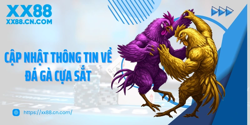 Cập nhật thông tin về đá gà cựa sắt